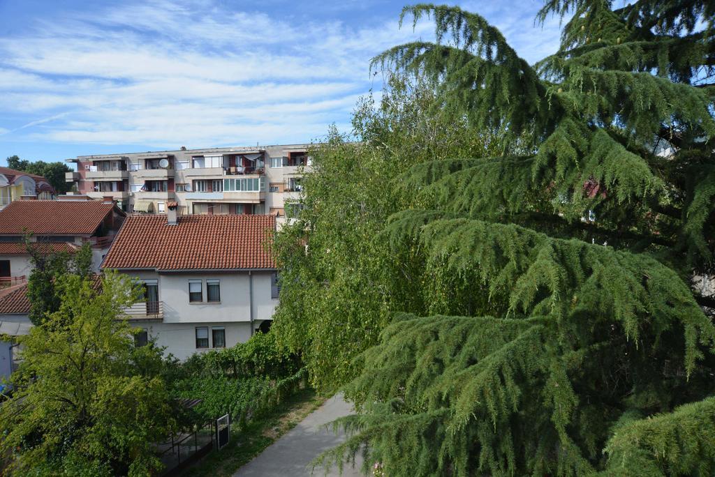 Mint Apartments Ohri Dış mekan fotoğraf